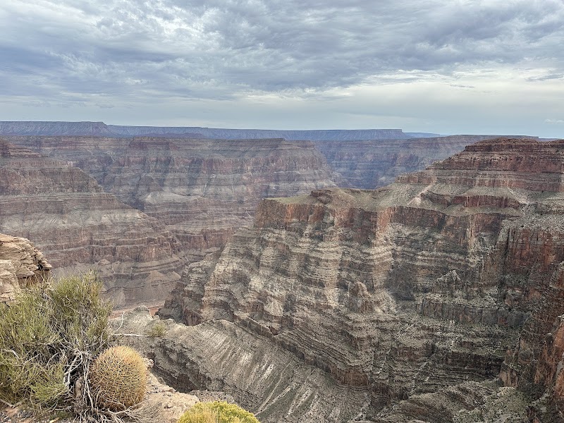 Treasure Tours of Nevada cover image