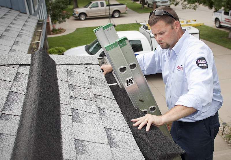 American Pest Management cover