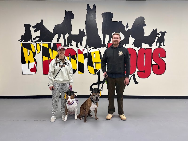 B'More Dogs Hon cover image