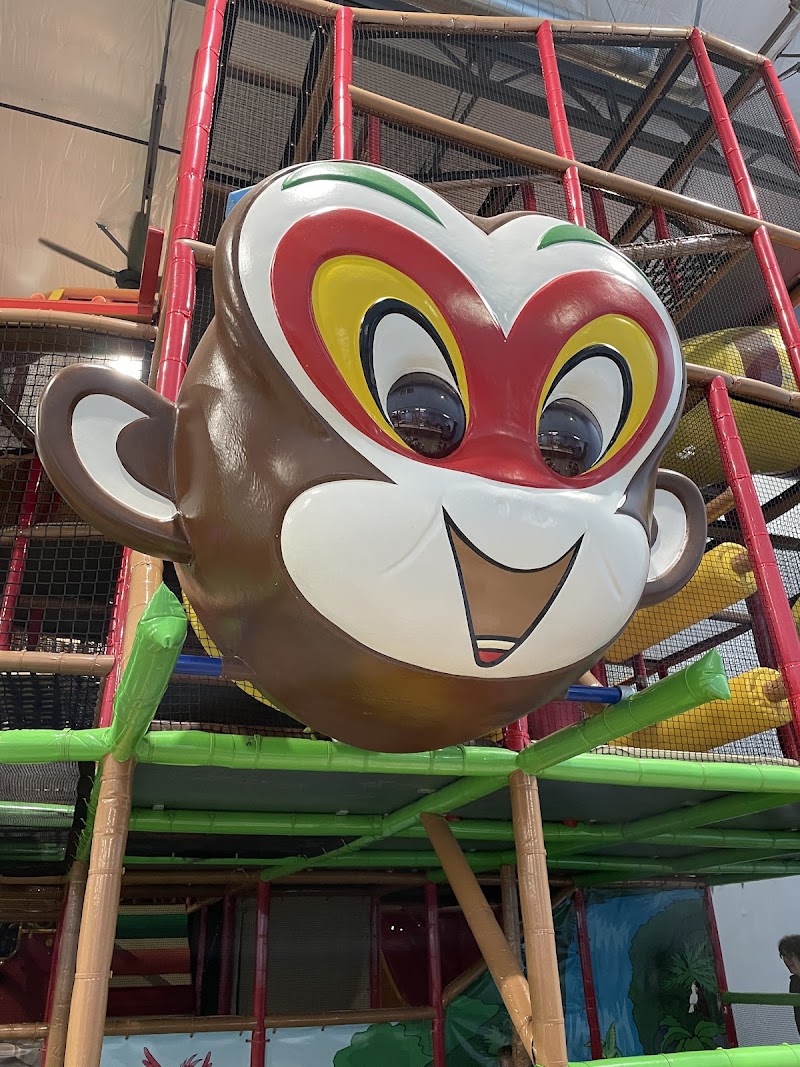 Monkey King Play Palace cover image