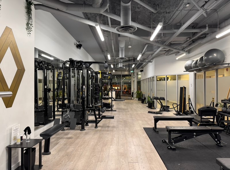 VIP Fitness & Lifestyle cover image