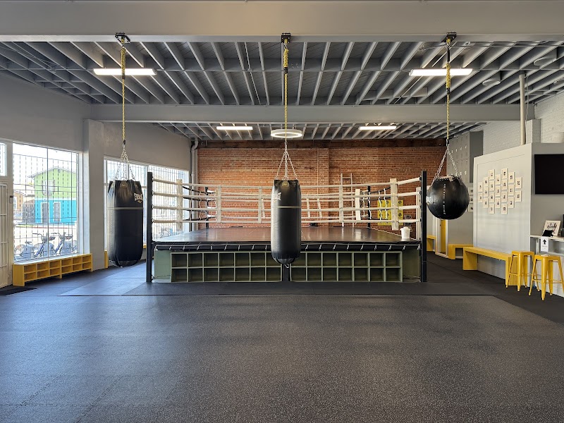 Gopa Boxing Club cover image