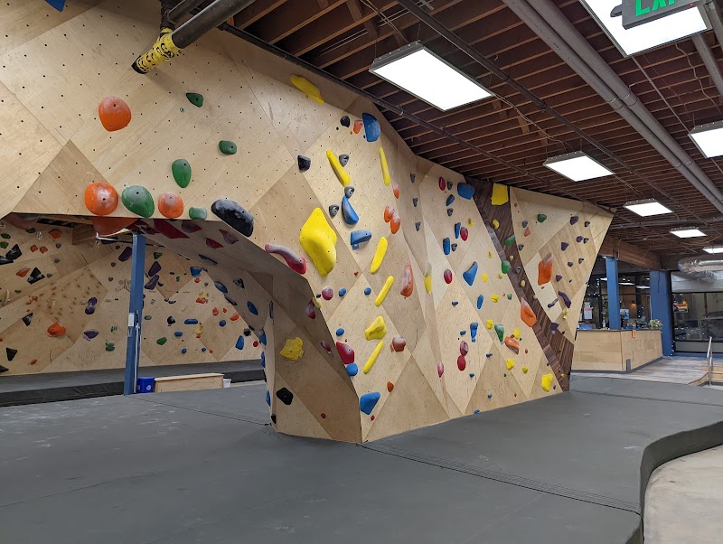 Half Moon Bouldering cover image