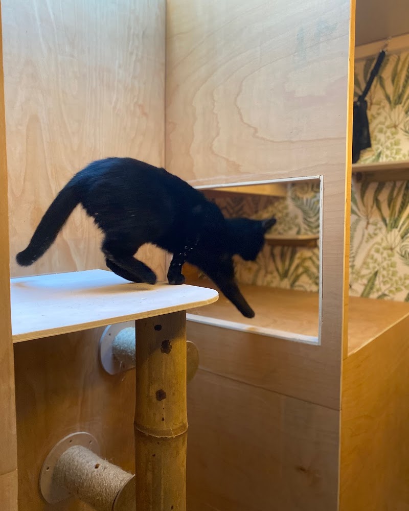 Lovi Pet Hotel cover image