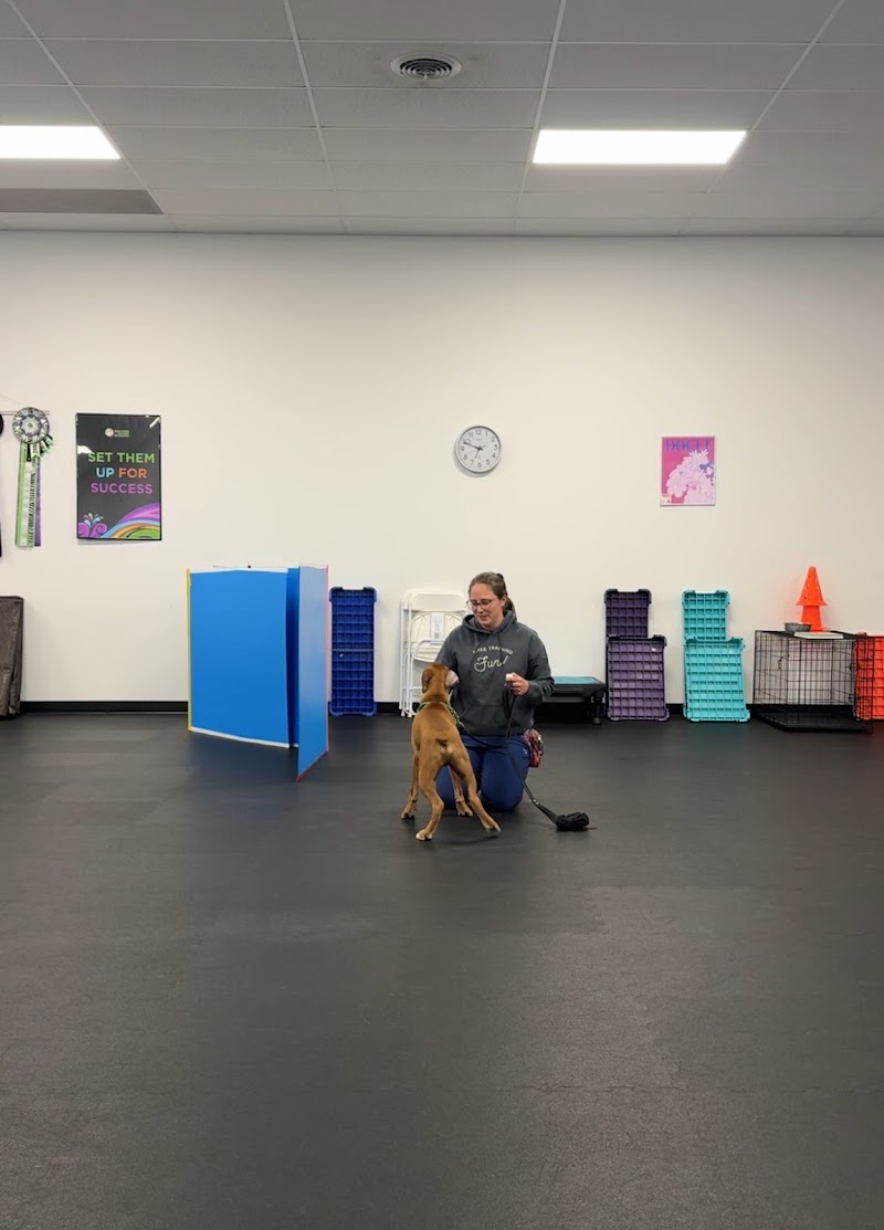 Success Just Clicks Dog Training cover image