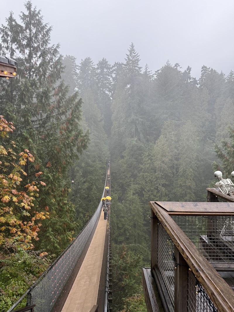 Vancity Tours cover image