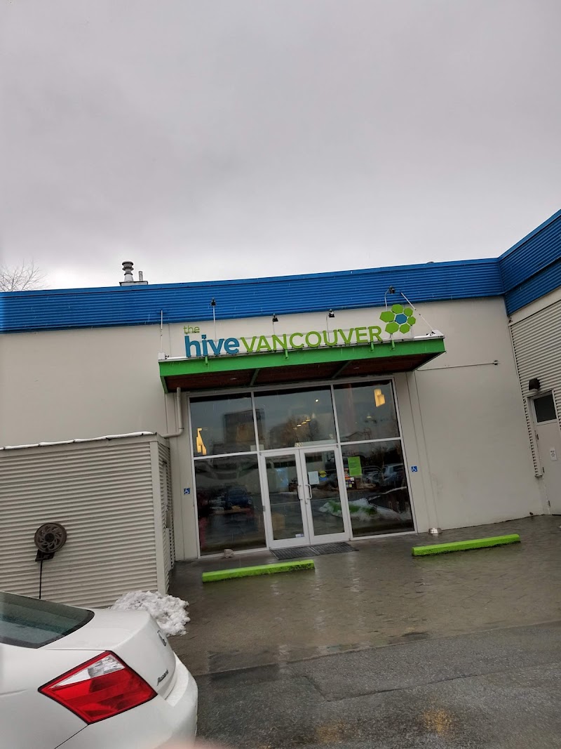 The Hive Bouldering Gym cover image