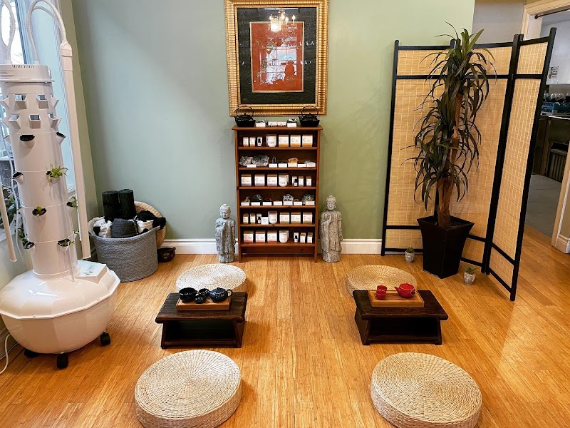 The Tea Lounge cover image