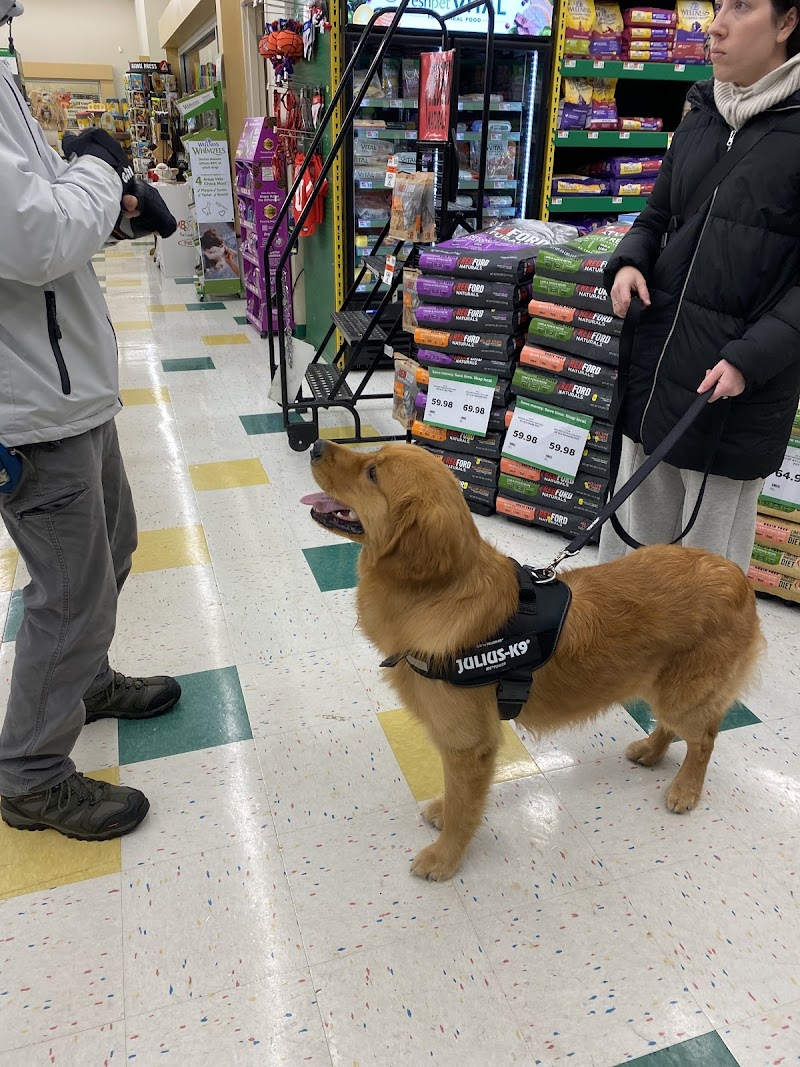 Serenity Dog Training cover image