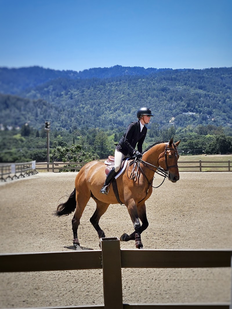 Horse Park at Woodside cover image