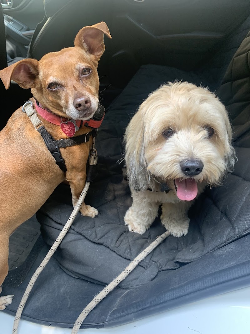 Karen's Pet Kare cover image