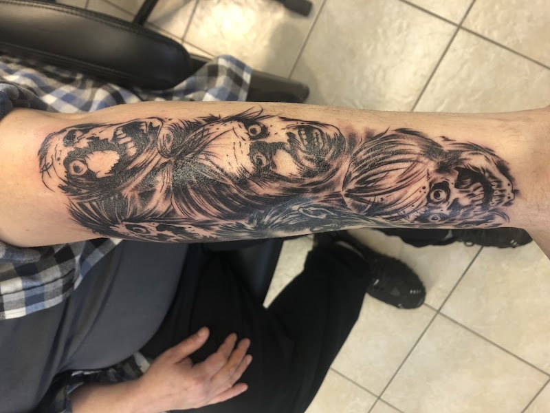 Exotic Skin Shop cover image