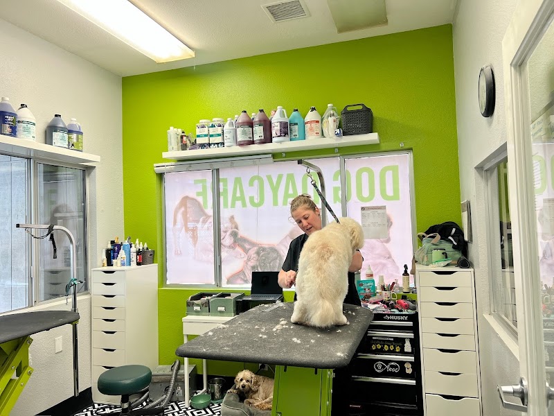 Paw Commons Pet Resort & Training Center - Hillcrest cover image