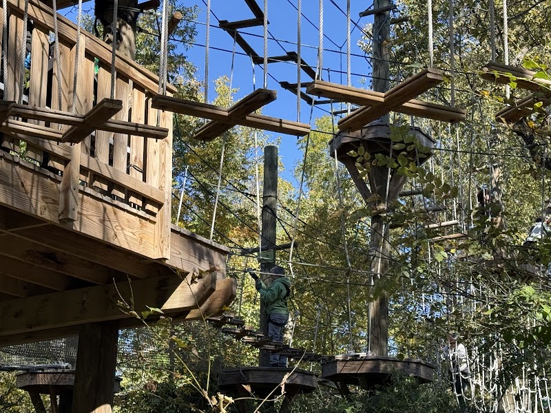 Go Ape Zipline and Adventure Park cover image