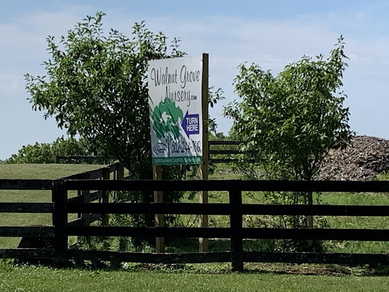 Walnut Grove Nursery cover image