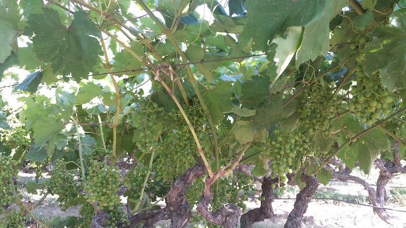 Anderson Acres Pet Care cover image