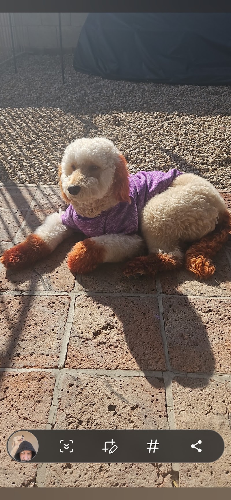 Now Who's the Boss Inc cover image