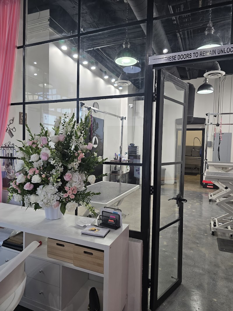 Maxs Happy Paws | Dog Grooming Downtown Los Angeles cover image