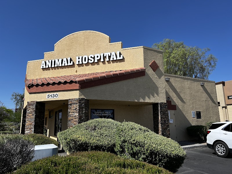 Camino Al Norte Animal Hospital cover image