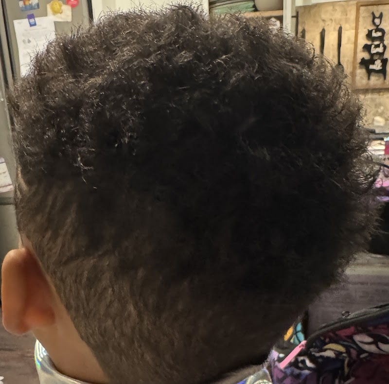 Ramirez Barber Bartlett cover image