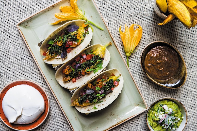 Johnny Sánchez cover image