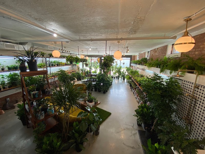 Virgil's Plant Shop cover image