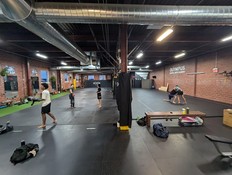 Olympus Martial Arts Academy cover image