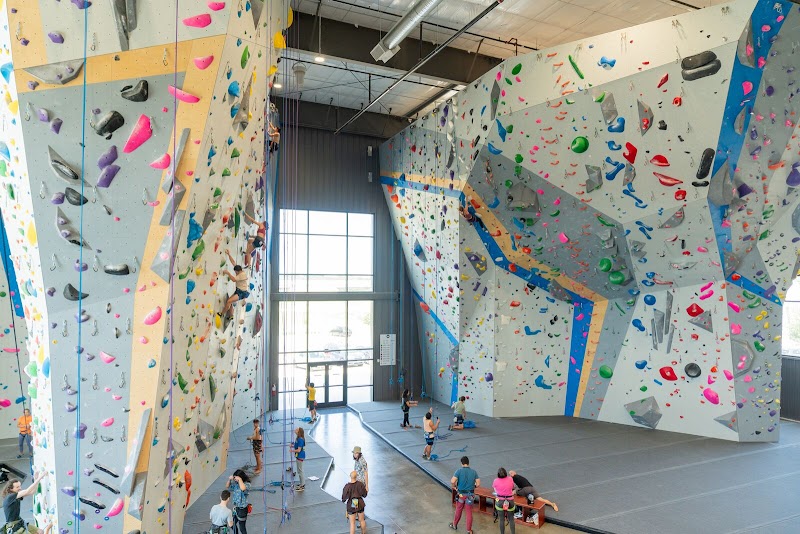 Movement Grapevine cover image