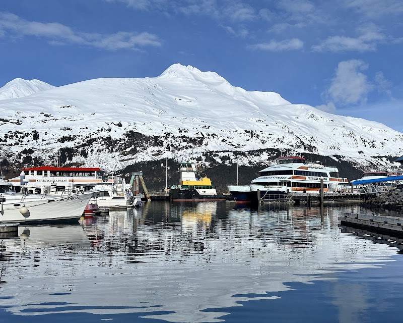 Phillips Cruises & Tours, LLC cover image