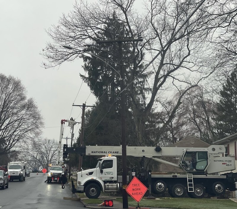 Prestige Tree Service cover image