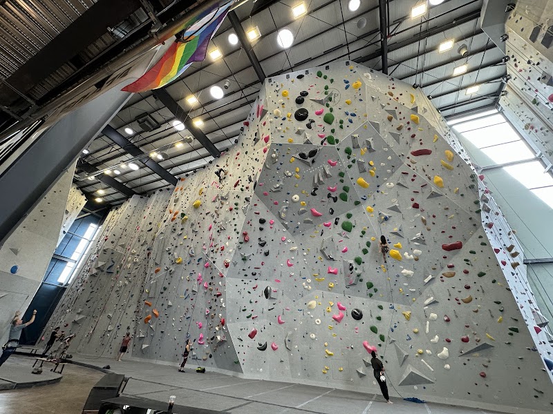 Mesa Rim Climbing Center (North City) cover image