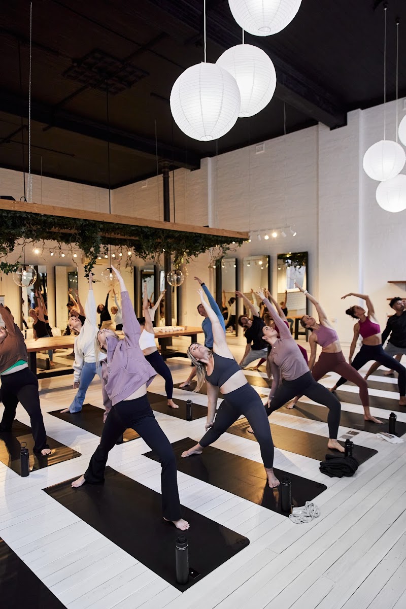 the white room cover image