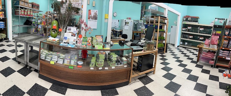 Andy's Pet Shop cover image