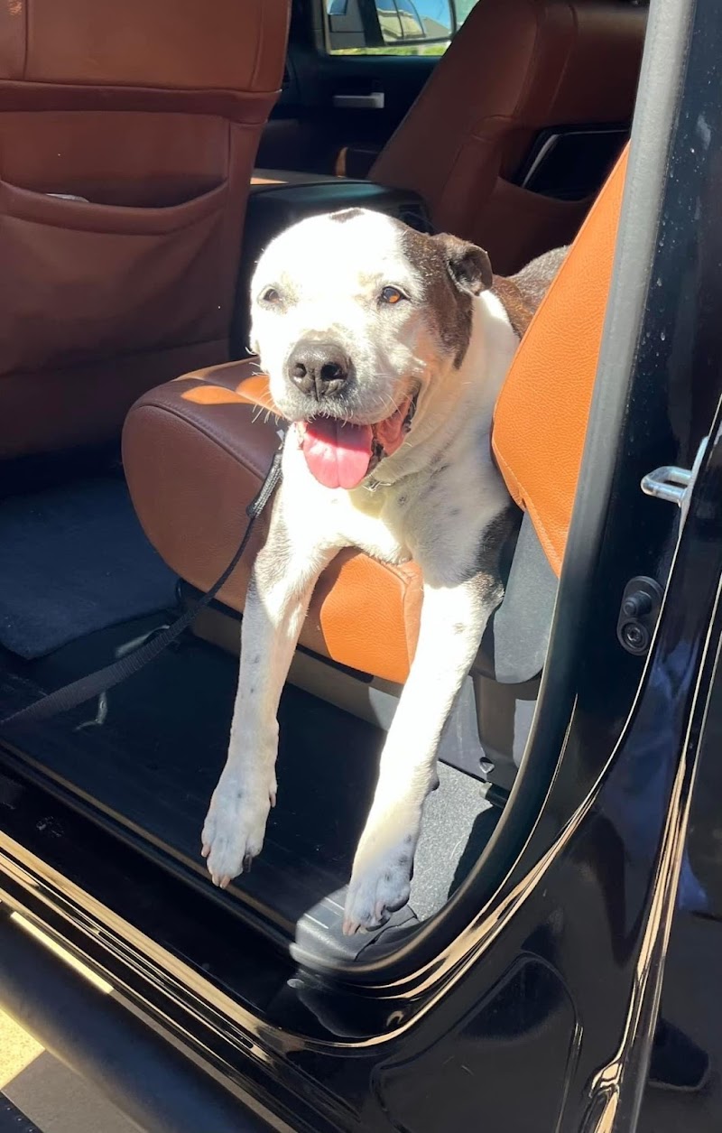 Richter Animal Hospital cover image