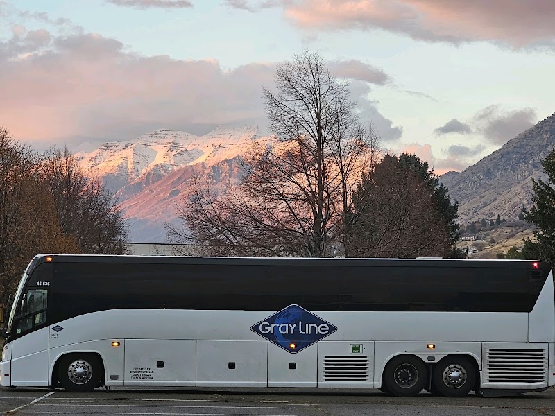 Gray Line Tours & Charter Bus Rentals Tucson cover image