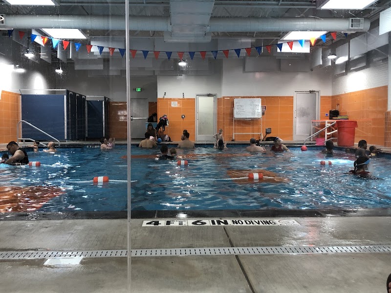 Dallas Swim Kids cover image