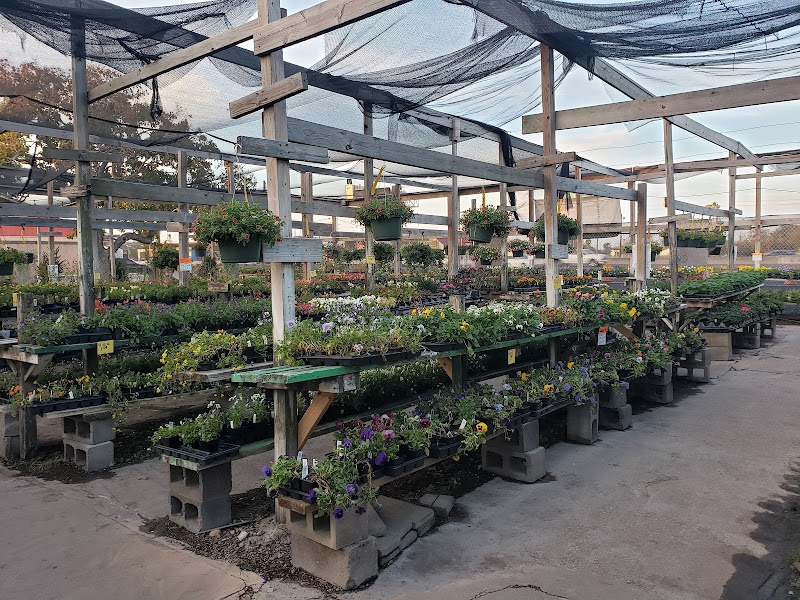 Turner's Gardenland cover image