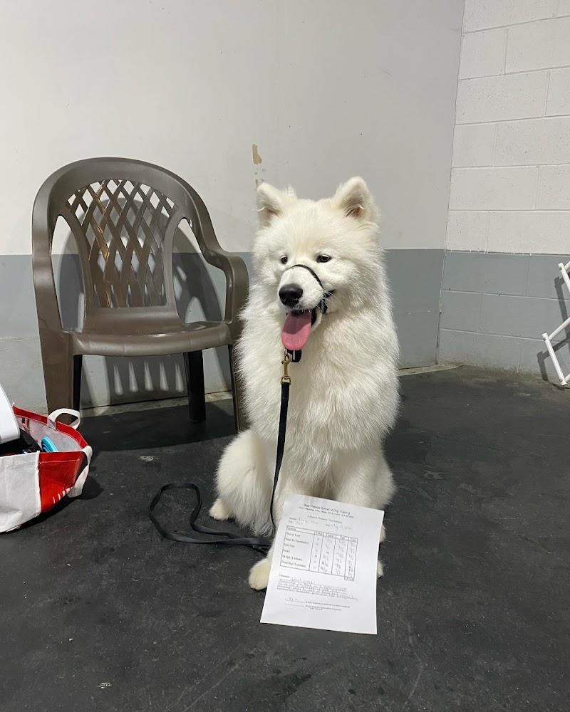 Best Friends Dog Training cover image