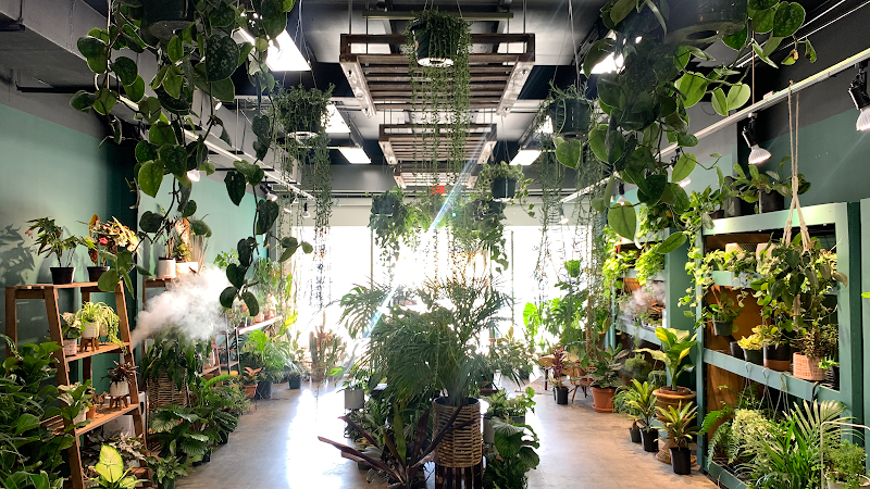 Plantoem cover image