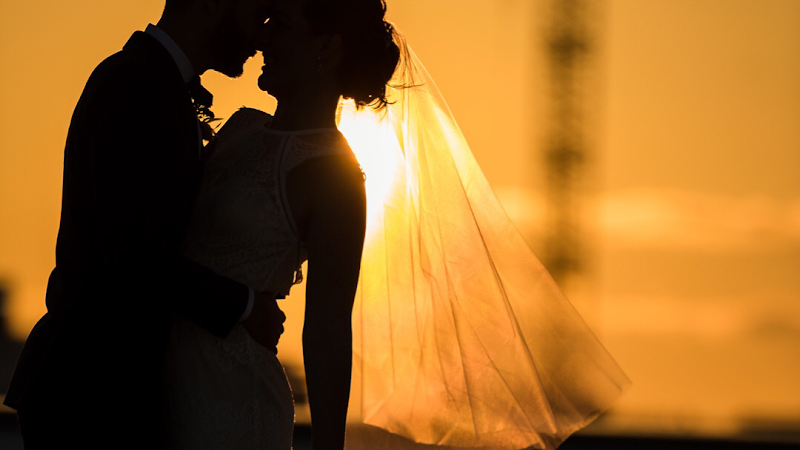 Cheryl Lofton Tailoring cover image