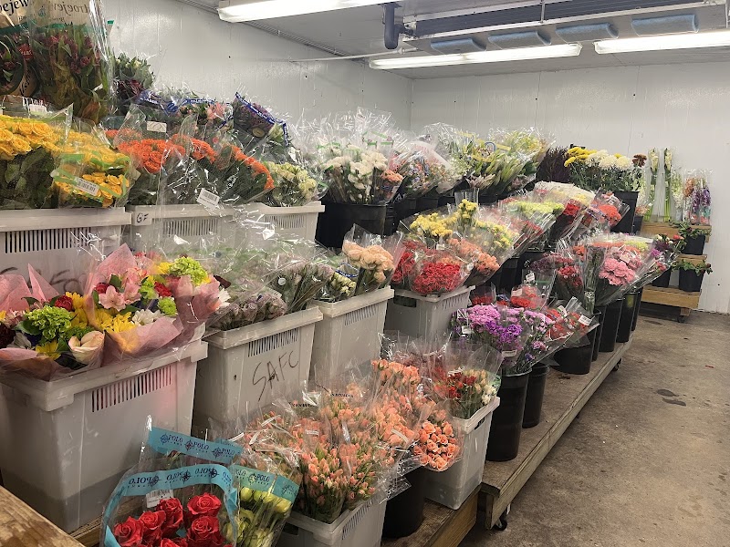 San Antonio Flower Co cover image