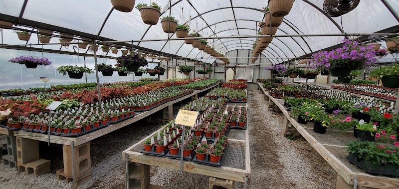 Fast's Greenery cover image