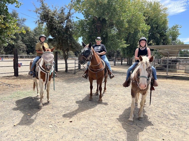 Shadow Glen Family Stables cover image