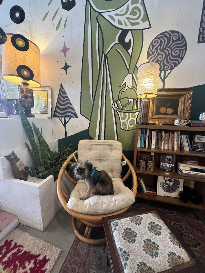 The Far Forest cover image