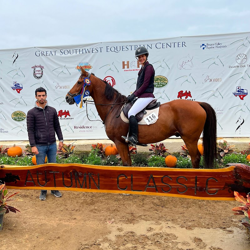 Royal Sport Horses cover image