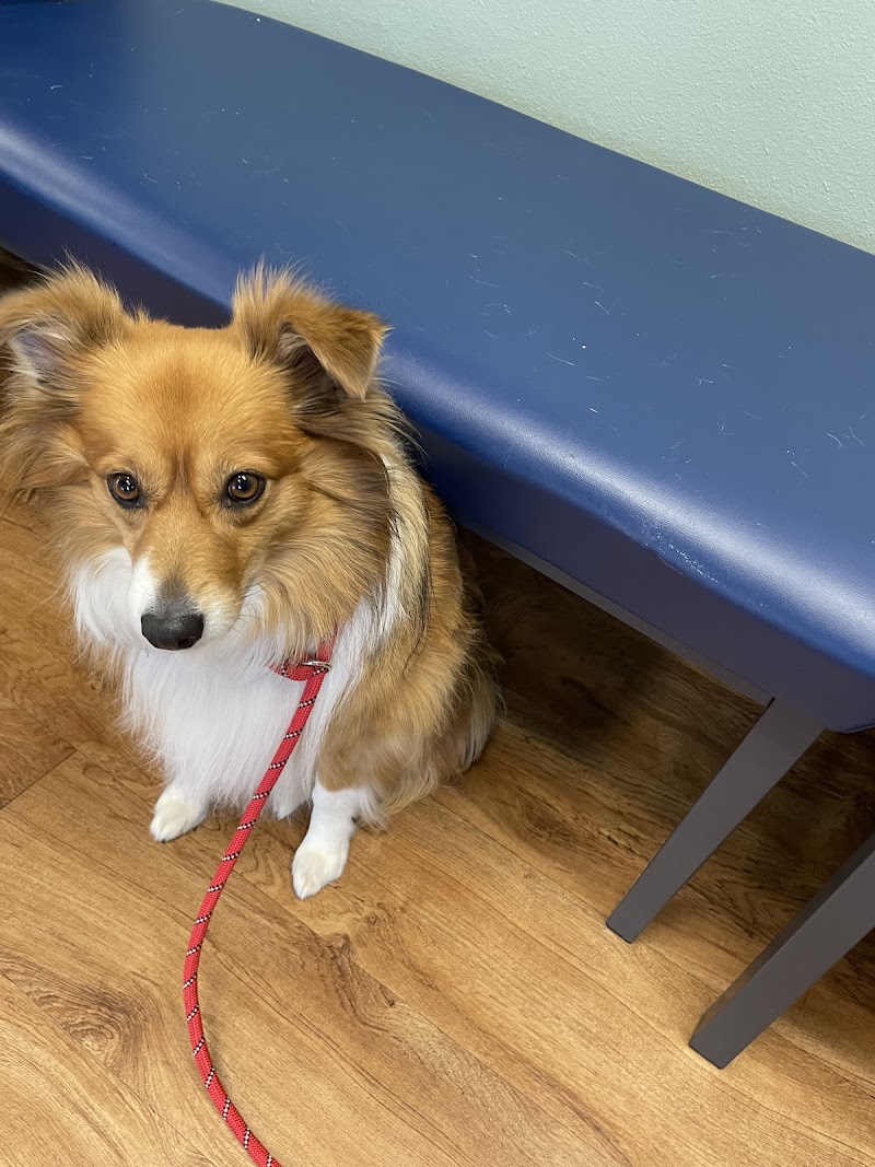 82nd Street Veterinary Clinic cover image