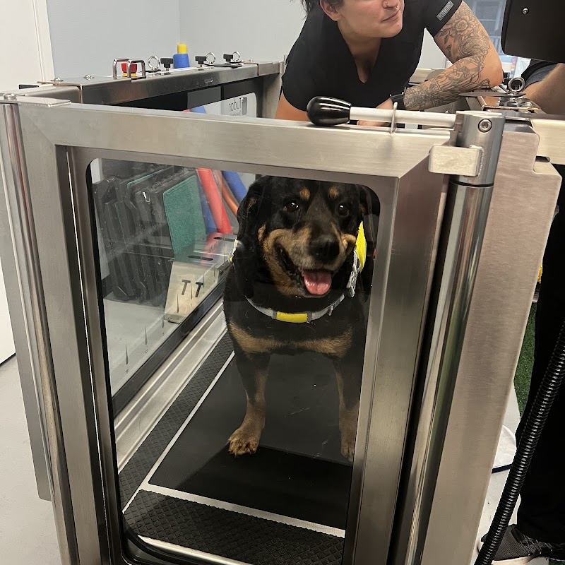 The Heights Veterinary Clinic cover