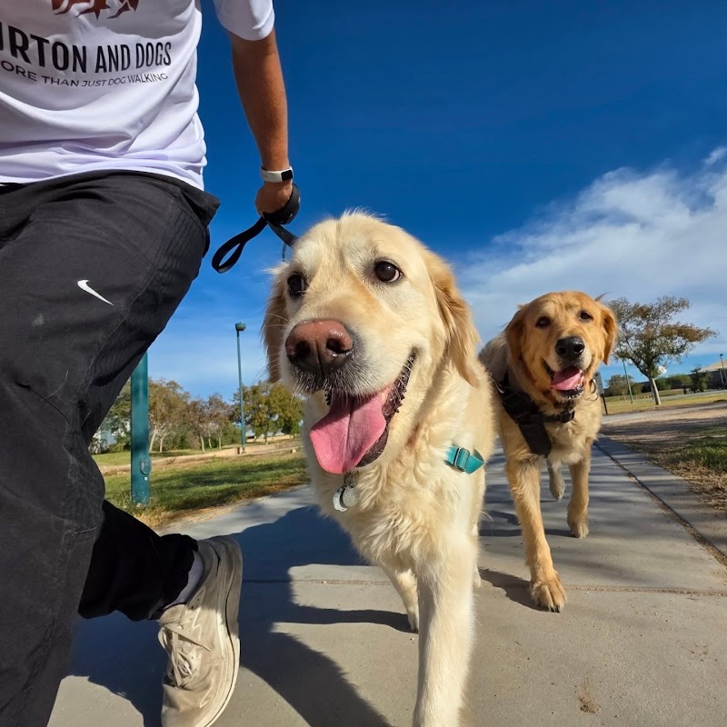 Burton and Dogs Inc cover image