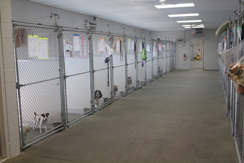 Lucky Dog Lodge cover image