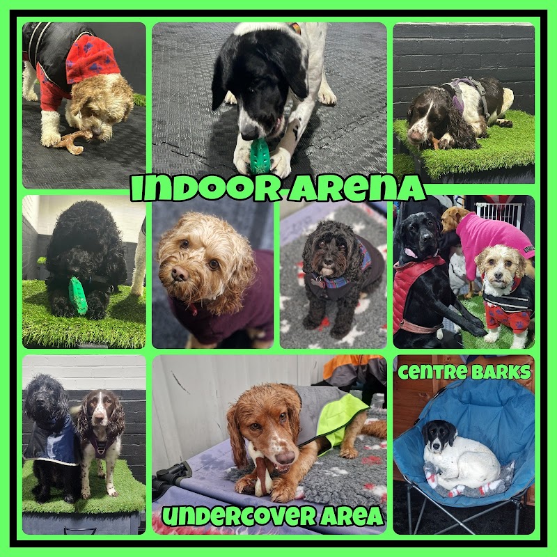 Precious Paws Premium Doggy Day Care cover image